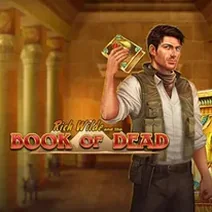 Book of Dead slot